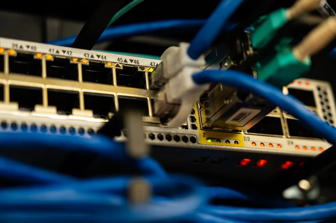 Ethernet patch cables plugged into a network switch
